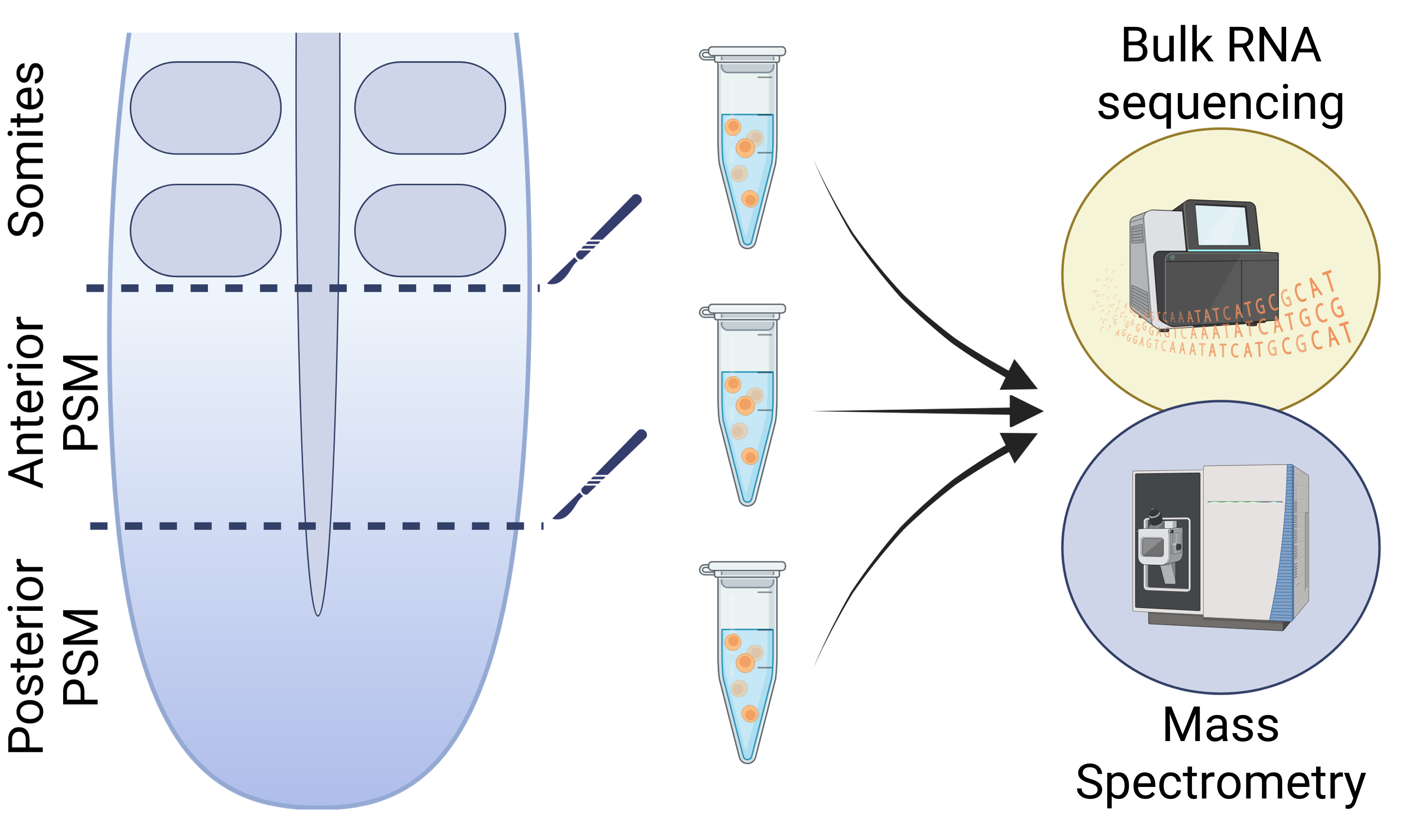 Spatial data methods graphic