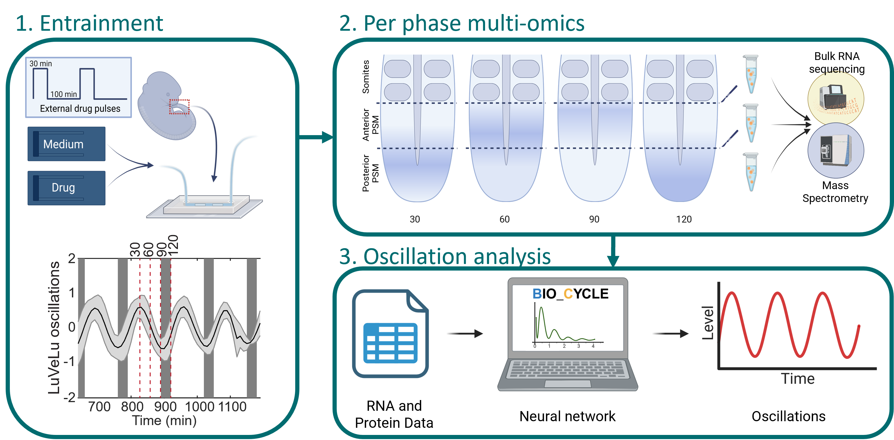 Spatiotemporal methods graphic